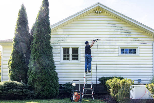 Best Roof Pressure Washing  in Endwell, NY